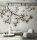 Fototapete Walls by Patel 4 m x 2,7 m Blüten Creme Braun  Raum 2