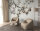 Fototapete Walls by Patel 4 m x 2,7 m Blüten Creme Braun  Raum 3