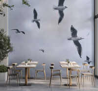 Fototapete Walls by Patel 4 m x 2,7 m Möwen Grau   Raum 3