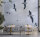 Fototapete Walls by Patel 4 m x 2,7 m Möwen Grau   Raum 3