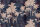 Fototapete Walls by Patel 4 m x 2,7 m Palmen Blau Beige  Raum 1