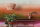Fototapete Walls by Patel 4 m x 2,7 m Landschaft Rot Pink  Raum 4