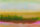 Fototapete Walls by Patel 4 m x 2,7 m Landschaft Grün Gelb Pink Raum 1