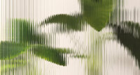 Fototapete Walls by Patel 4 m x 2,7 m Blätter...