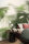 Fototapete Walls by Patel 4 m x 2,7 m Blätter Grün Beige  Raum 4