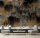 Fototapete Walls by Patel 4 m x 2,7 m 3D Braun Schwarz  Raum 2