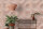 Fototapete Walls by Patel 4 m x 2,7 m Kreise Rosa   Raum 2
