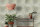 Fototapete Walls by Patel 4 m x 2,7 m Kreise Mintgrün   Raum 2
