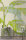 Fototapete Walls by Patel 4 m x 2,7 m Blätter Grün Hellblau Creme Raum 4