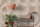 Fototapete Walls by Patel 4 m x 2,7 m Kreise Beige   Raum 3